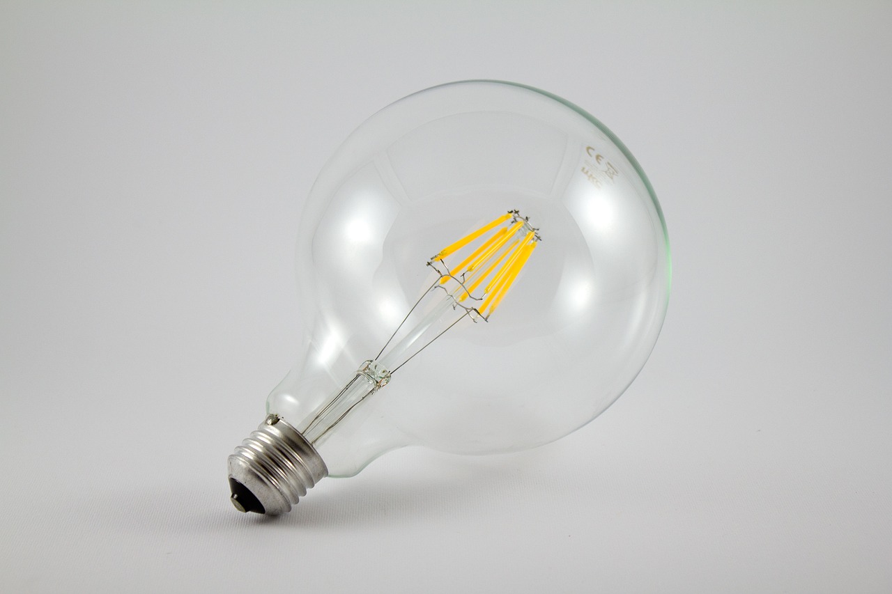 Ecobewuste consument houdt duurzame gloeilamp vast.