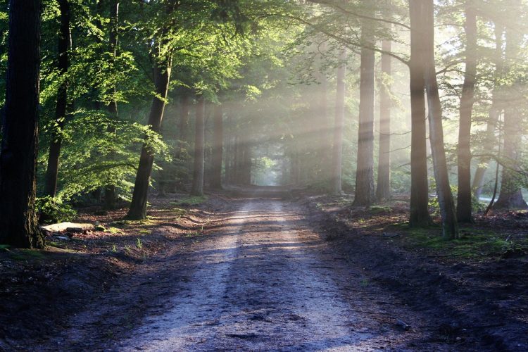 De magie van natuurlijk licht creëren in donkere ruimtes